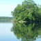 Point near the former Edgewater Resort Cedar Lake Aitkin MN USA