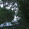 Mississippi Meandering