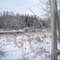 First snow
