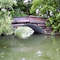 pond