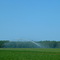 Summer Watering