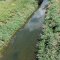 Little Ausable at former PLUARG site