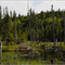 Parc Mont-Tremblant