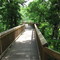Burr Oak Woods