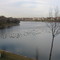 Deck View