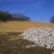 Landahl Park Rockpile