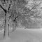 Montreal back with the snow.