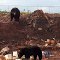 Schefferville Bears
