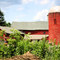 Farm in Litchfield, CT