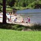 Black Rock Pond