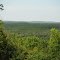 Mt Prospect vista