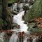 Mount Tom State park(3)