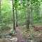 Blazed Trail View