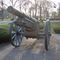 Krupp gun