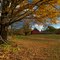 Nathan Hale Homestead