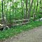 Major Dropoff Into Covert Under Old Railroad Bed