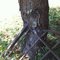 Old Gate