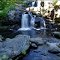 Devils hopyard(9)