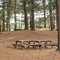 Pulaski picnic grove