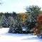 Hallmark Winter Postcard