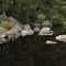 Fall cove of Wilbur Pond