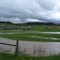 Forest Grove  6/23/2011