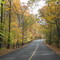 Autumn in Connecticut, My Street