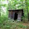 Old Shack Near Pond