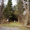 the Sawmill Trail, Beltzville State Park