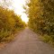 D&L Trail