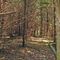 Southbury dog park