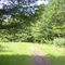 Larkin Bridle Trail