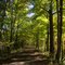 Larkin Bridle Trail