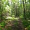 Trail View