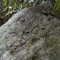Petroglyphs on Symbol Rock