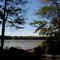 Thrush Cove, Wincheck Pond