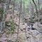 Modern View of Green Fall River Ravine