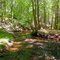 Branford Trail Pisgah Brook