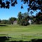 Large Field