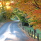 Haddam Quarter Road