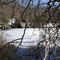 Miller's Pond