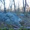 Small summit at sunset - Apr. 12 2010