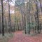 Autumn Road, Madison, CT