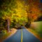 Autumn Odyssey