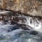 Devils Glen Park