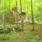 Abandon House
