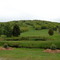Mohawk Mountain Summer