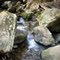 Spring Stream
