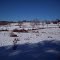 Fields of winter, a quite blanket of white. Colebrook Connecticut