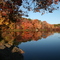 Gritman Pond-Fall